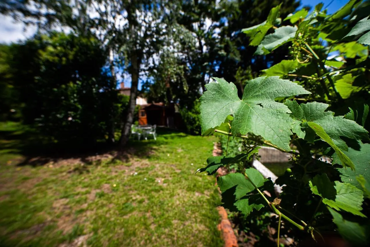 Mirguet Au Jardin Apartment Saint-Elix-le-Chateau 0*,