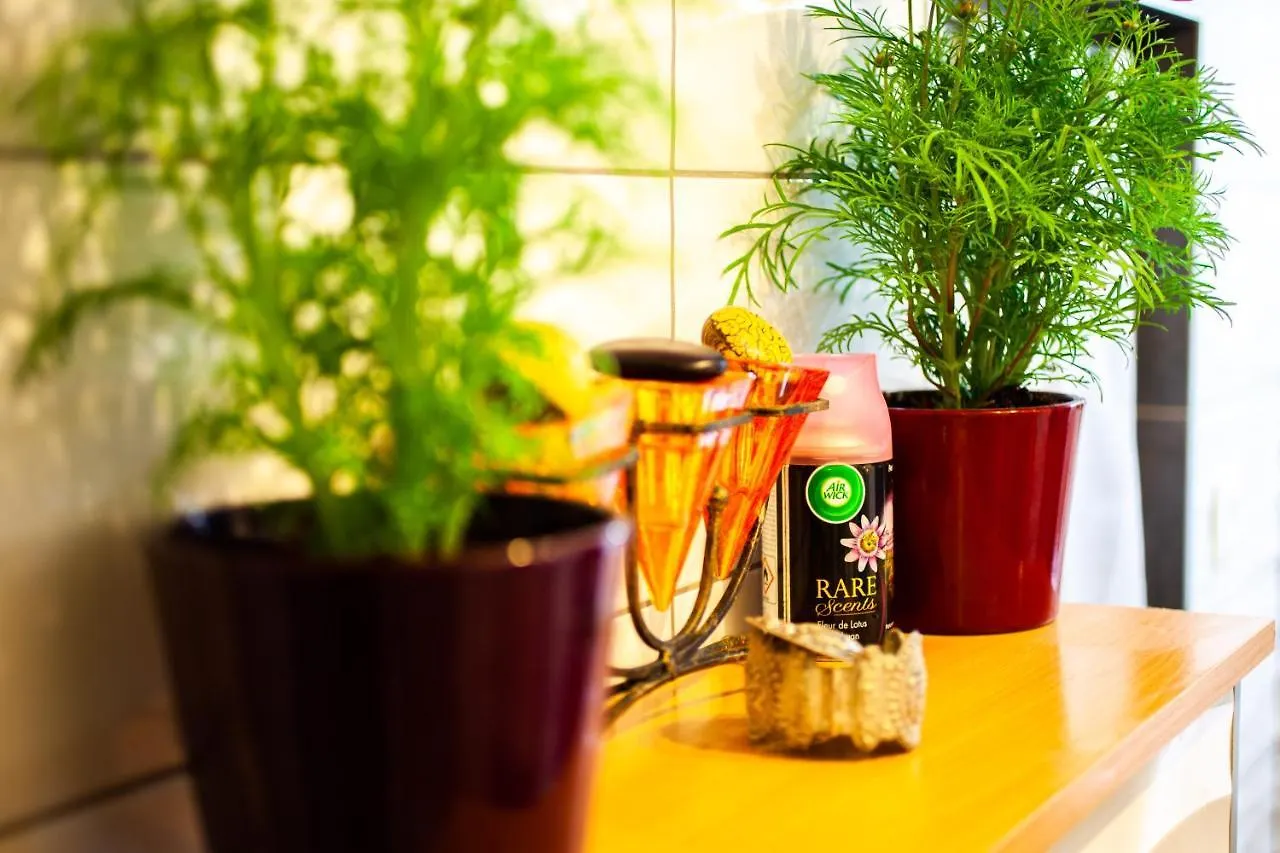 Homestay Mirguet Au Jardin Apartment Saint-Elix-le-Chateau